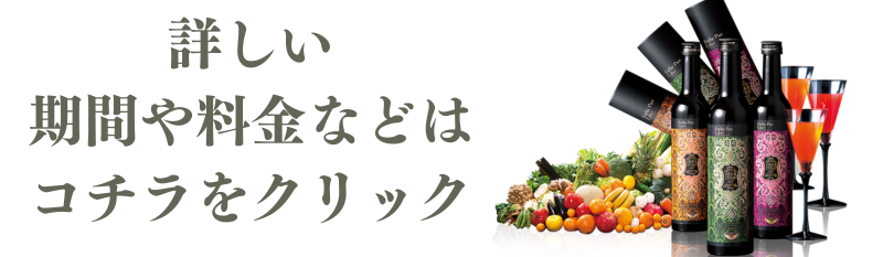 ファスティングプログラム料金費用期間