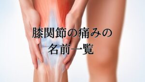 膝関節の痛みの名前一覧 怪我 傷病