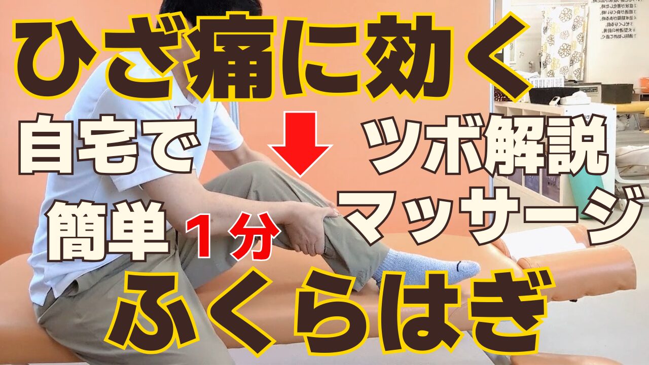 膝痛改善ふくらはぎツボマッサージで痛み解消｜変形性膝関節症にも効果あり福岡県久留米市の整骨院